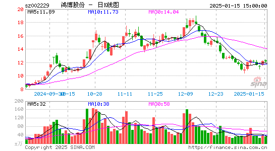 鸿博股份