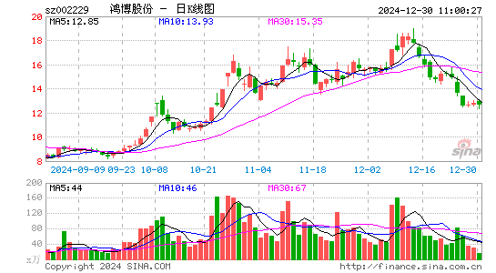 鸿博股份