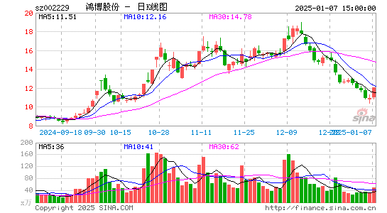 鸿博股份