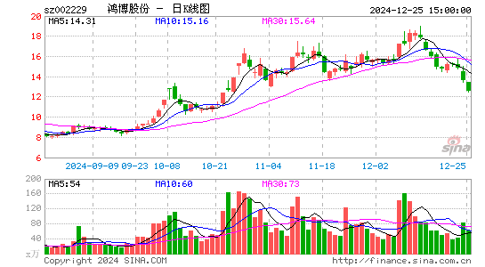 鸿博股份