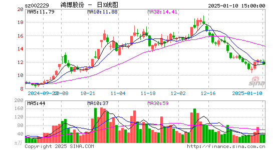 鸿博股份