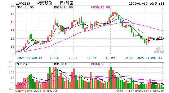 鸿博股份