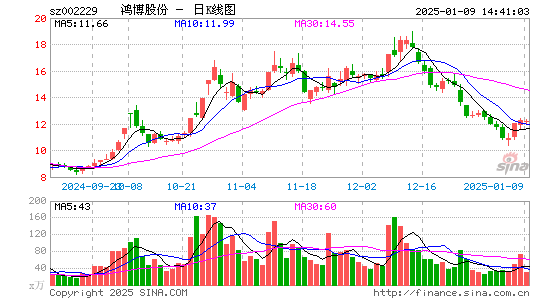 鸿博股份