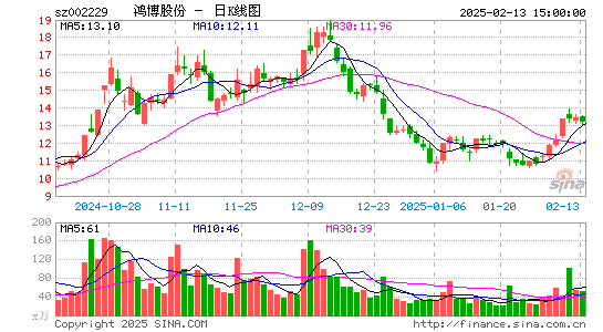 鸿博股份