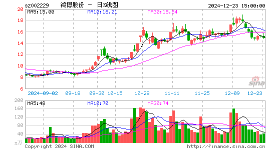 鸿博股份