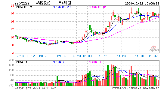 鸿博股份