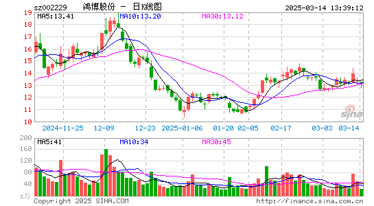 鸿博股份