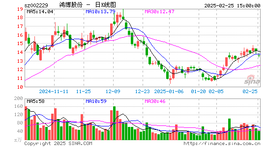 鸿博股份