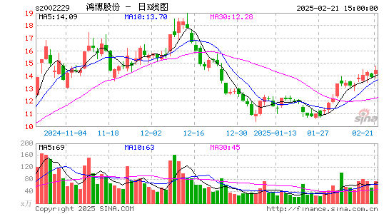 鸿博股份