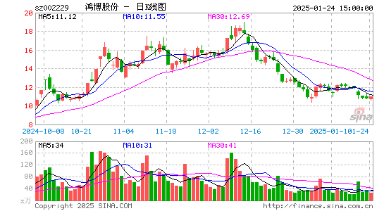 鸿博股份