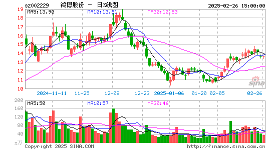 鸿博股份