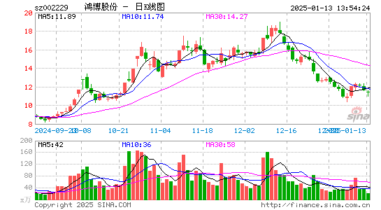 鸿博股份