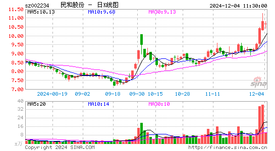 民和股份