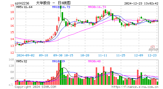 大华股份