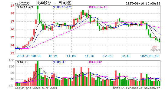 大华股份