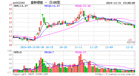 盛新锂能