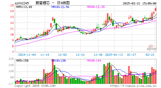 蔚蓝锂芯