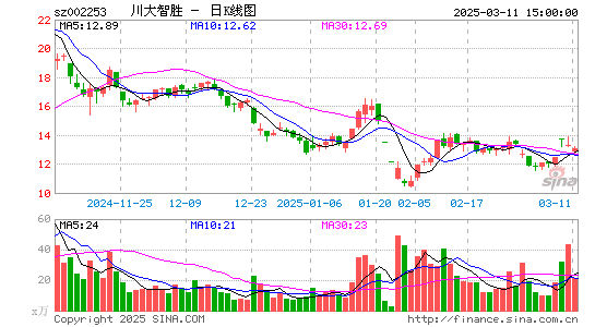 川大智胜