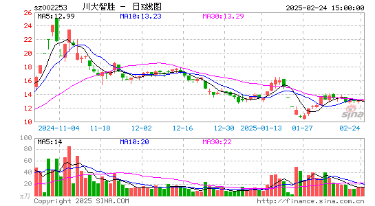 川大智胜