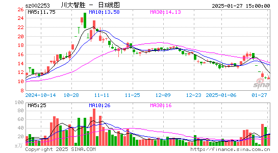 川大智胜