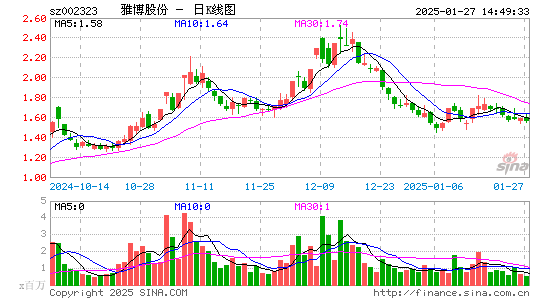 雅博股份