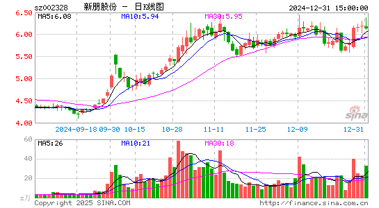 新朋股份