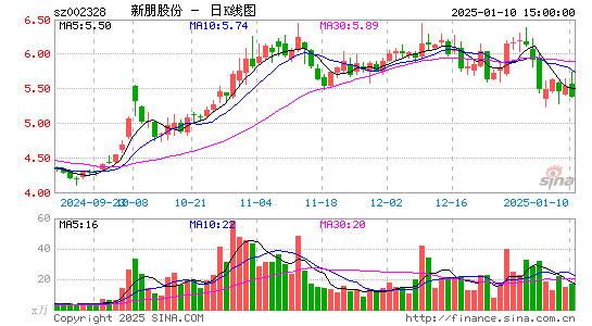 新朋股份