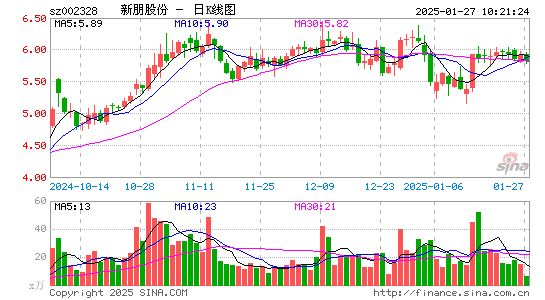 新朋股份