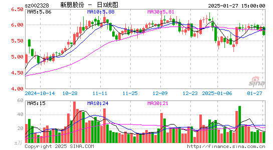 新朋股份