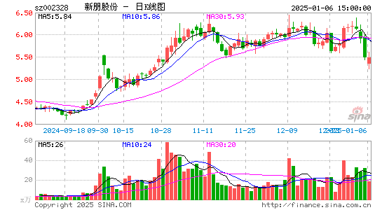 新朋股份