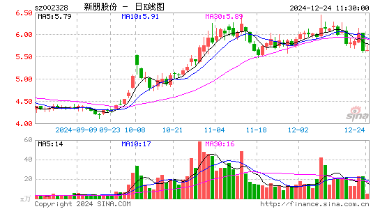 新朋股份