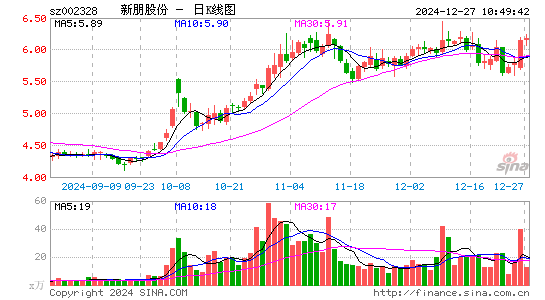 新朋股份