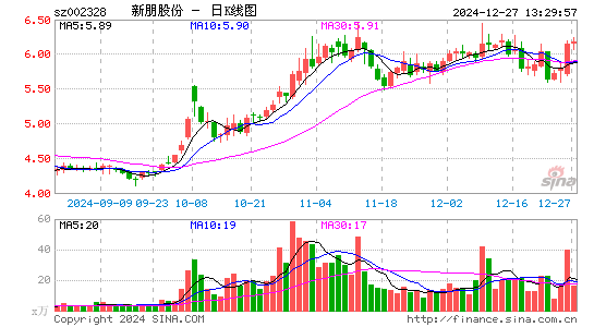 新朋股份