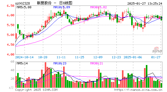 新朋股份