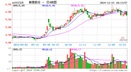 新朋股份