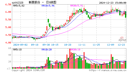 新朋股份