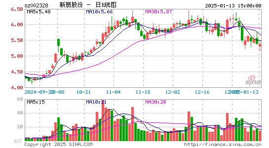 新朋股份