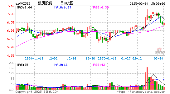 新朋股份