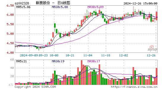 新朋股份