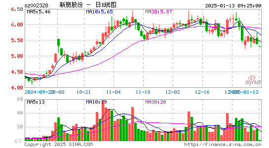 新朋股份