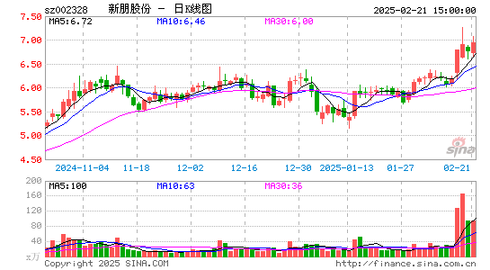 新朋股份