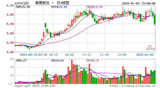 新朋股份