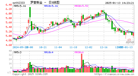 罗普斯金