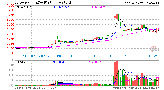 海宁皮城