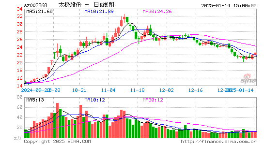 太极股份