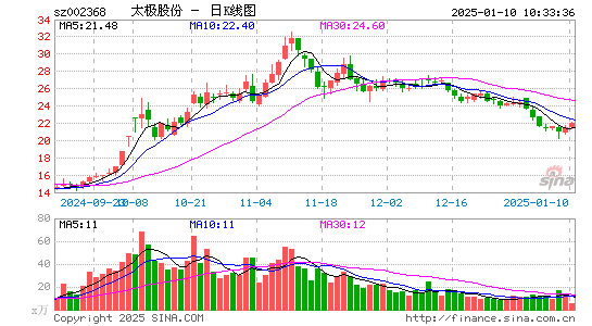 太极股份