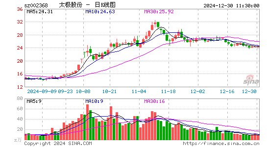 太极股份