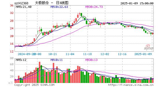 太极股份