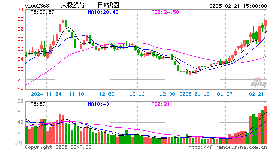 太极股份