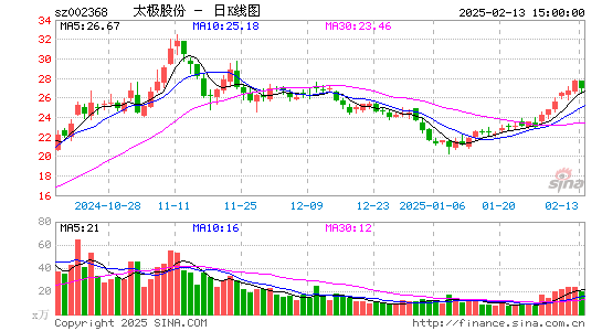 太极股份